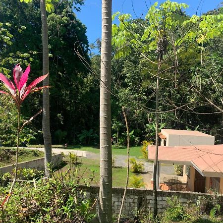 Alma Del Bosque Vacation Home And Apartments Quepos Eksteriør bilde
