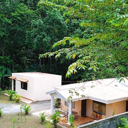 Alma Del Bosque Vacation Home And Apartments Quepos Eksteriør bilde