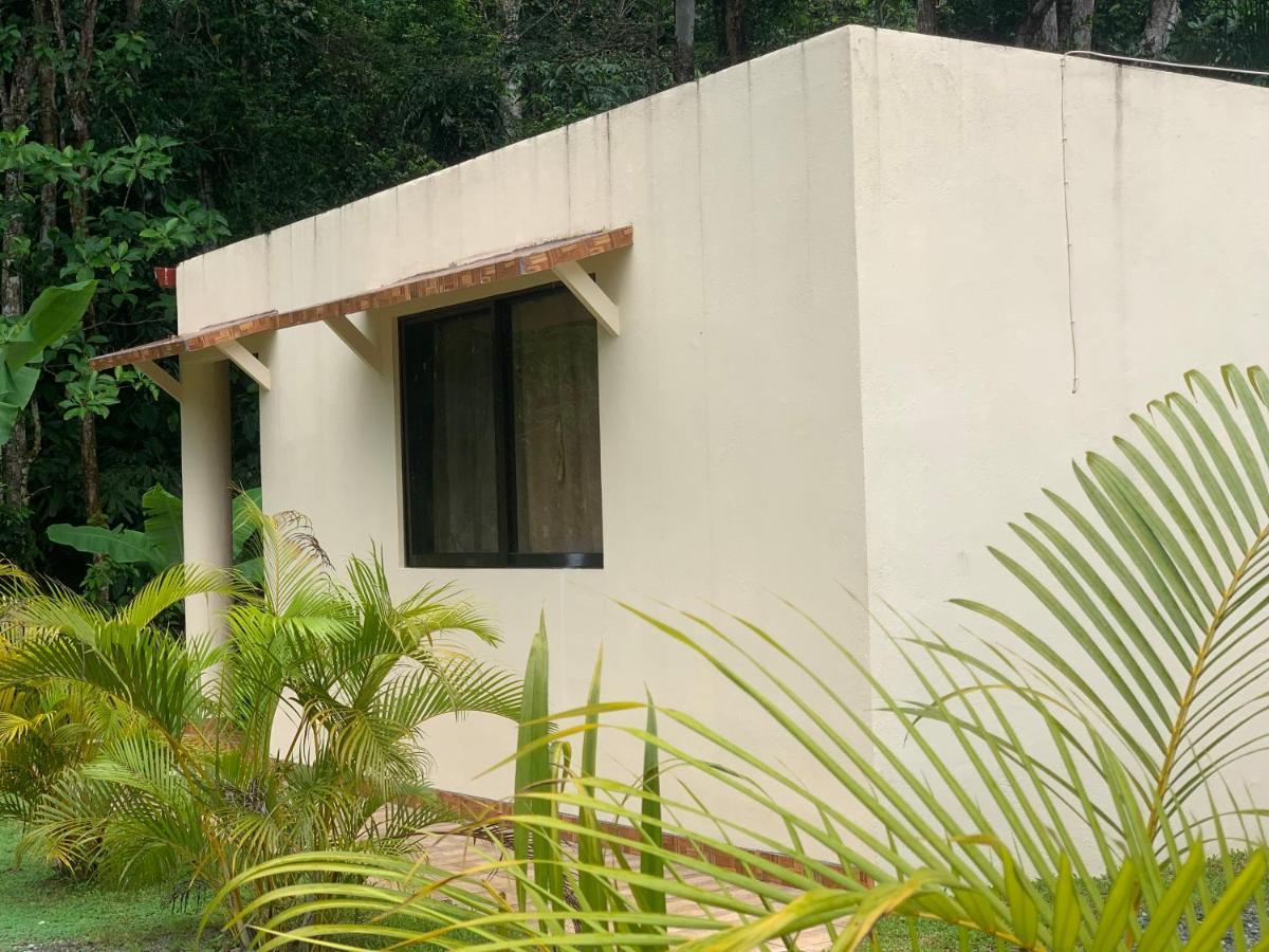 Alma Del Bosque Vacation Home And Apartments Quepos Eksteriør bilde