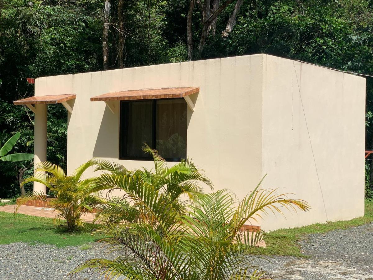 Alma Del Bosque Vacation Home And Apartments Quepos Eksteriør bilde