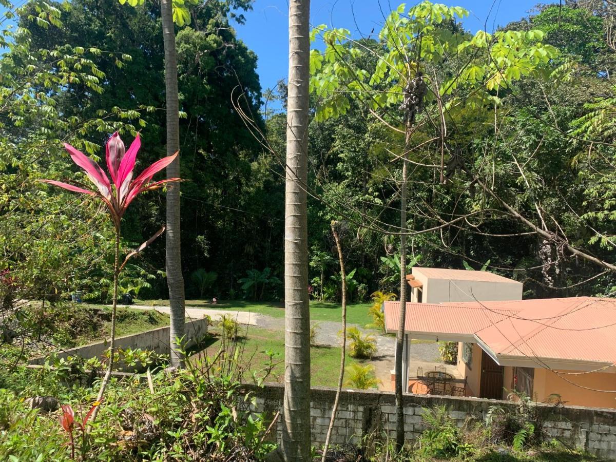Alma Del Bosque Vacation Home And Apartments Quepos Eksteriør bilde